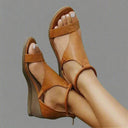  Marron