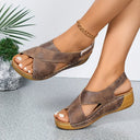  Marron
