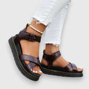  Marron