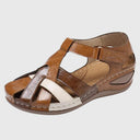  Marron