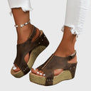  Marron